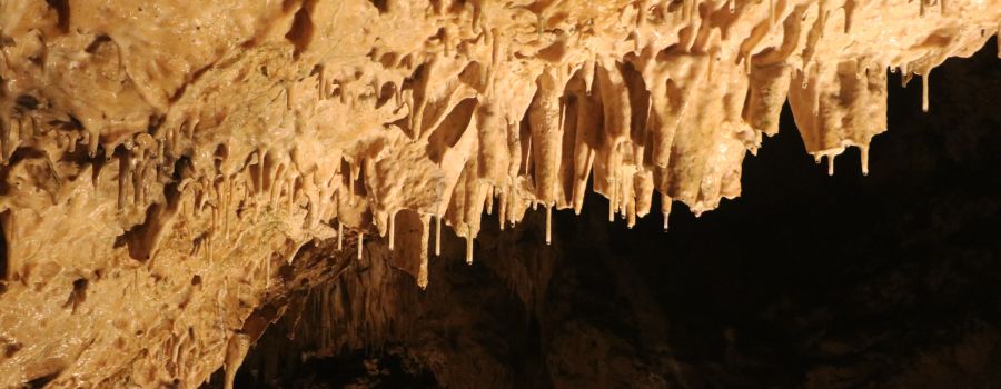 Kolbinger Höhle - © Adobe Stock