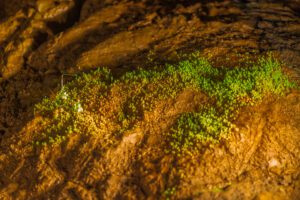 Aggertalhöhle